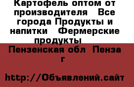 Картофель оптом от производителя - Все города Продукты и напитки » Фермерские продукты   . Пензенская обл.,Пенза г.